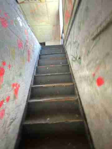 17257 bloom (38).jpg